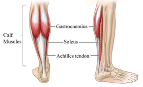 pulled calf muscle